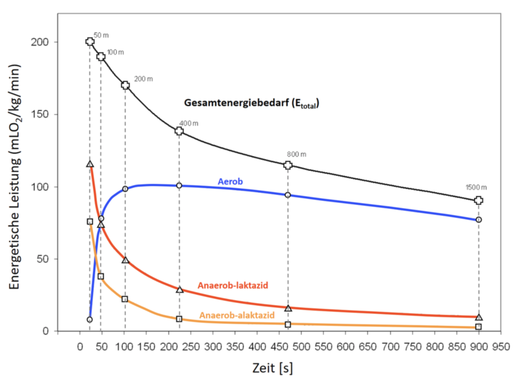 Diagramm zum Verlauf des Gesamtenergiebedarfs und der aeroben sowie anaeroben Energiebereitstellung über die Zeit.